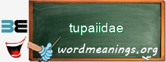 WordMeaning blackboard for tupaiidae